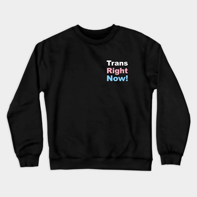 Trans Right Now! Transgender Rights Crewneck Sweatshirt by Irene Koh Studio